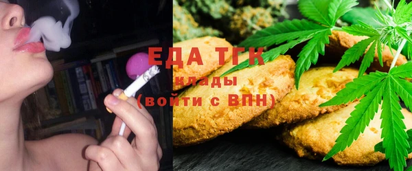 шишки Горняк